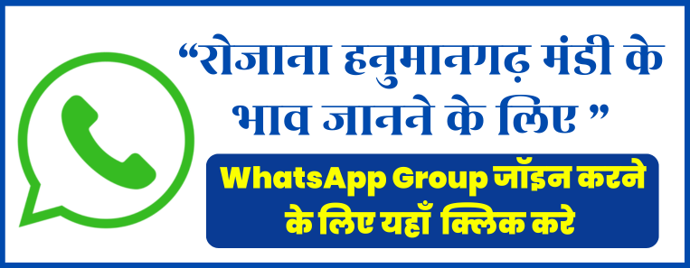 Hanumangarh Mandi Bhav