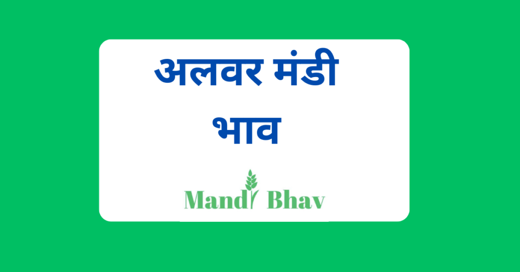 अलवर मंडी भाव (Alwar Mandi Bhav)