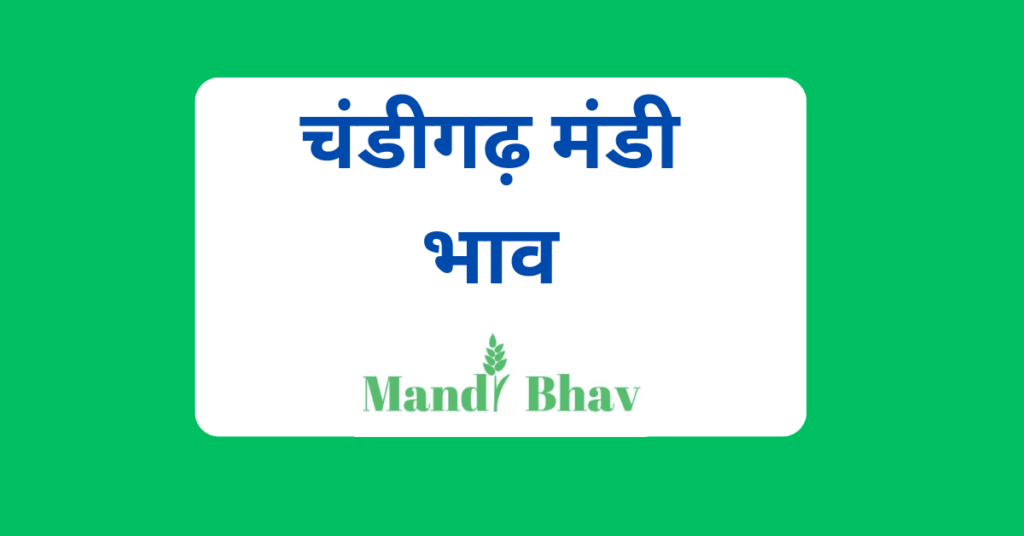 चंडीगढ़ मंडी भाव (Chandigarh Mandi Bhav)