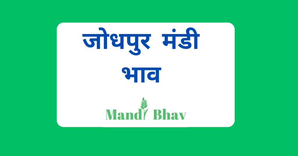 जोधपुर मंडी भाव (Jodhpur Mandi Bhav)