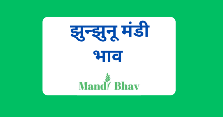 झुन्झुनू मंडी भाव (Jhunjhunu Mandi Bhav)