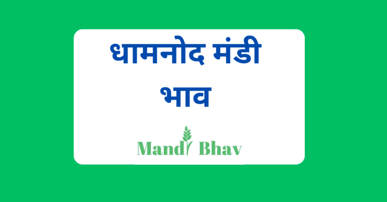 धामनोद मंडी भाव (Dhamnod Mandi Bhav)