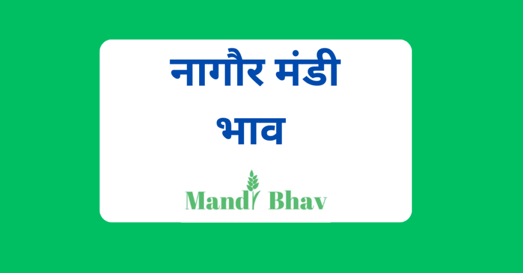 नागौर मंडी भाव (Nagaur Mandi Bhav)