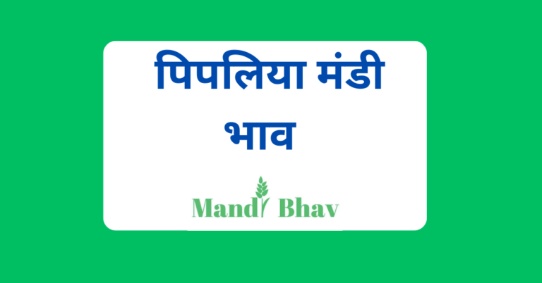 पिपलिया मंडी भाव (Pipliya Mandi Bhav)