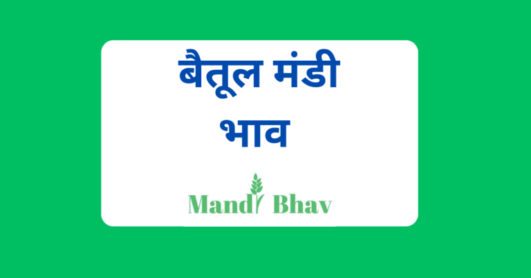 बैतूल मंडी भाव (Betul Mandi Bhav)