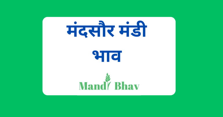 मंदसौर मंडी भाव (Mandsaur Mandi Bhav)