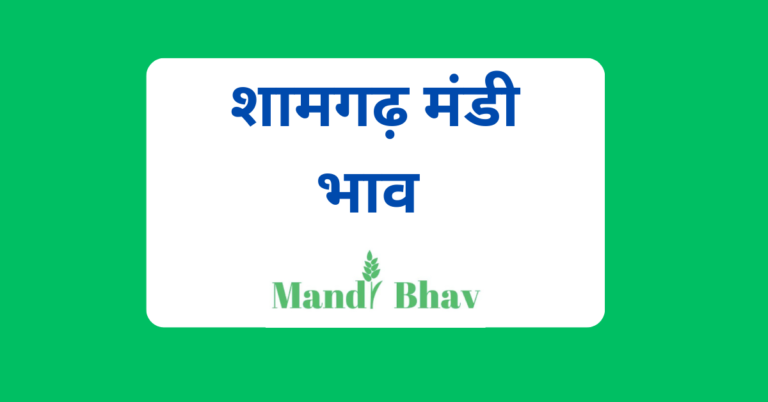 शामगढ़ मंडी भाव (Shamgarh Mandi Bhav)