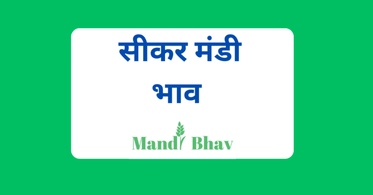 सीकर मंडी भाव (Sikar Mandi Bhav)