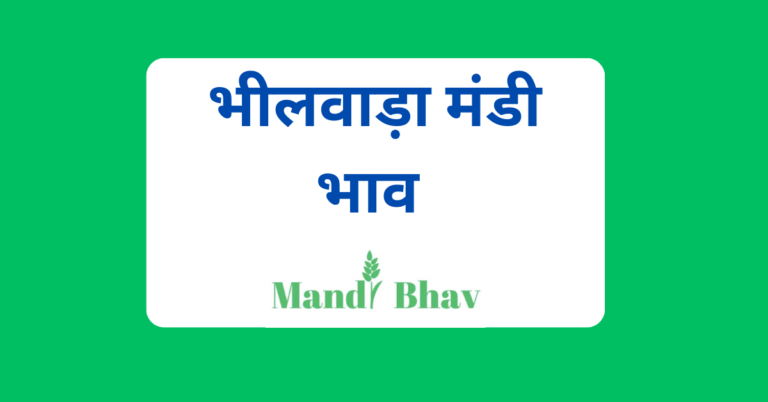 भीलवाड़ा मंडी भाव (Bhilwara Mandi Bhav)