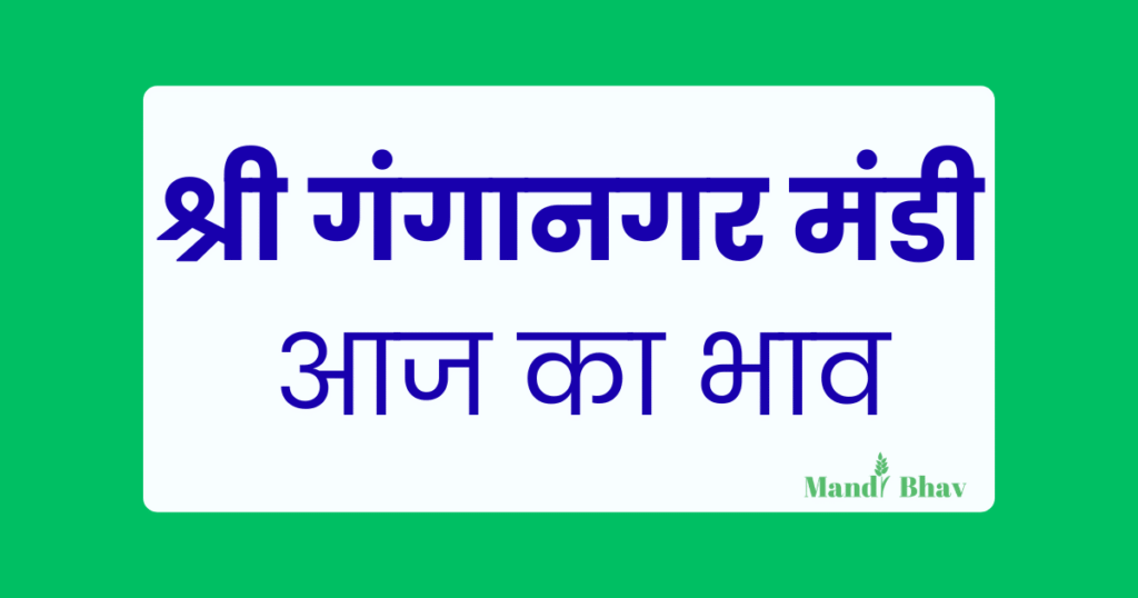 Sri Ganganagar Mandi bhav