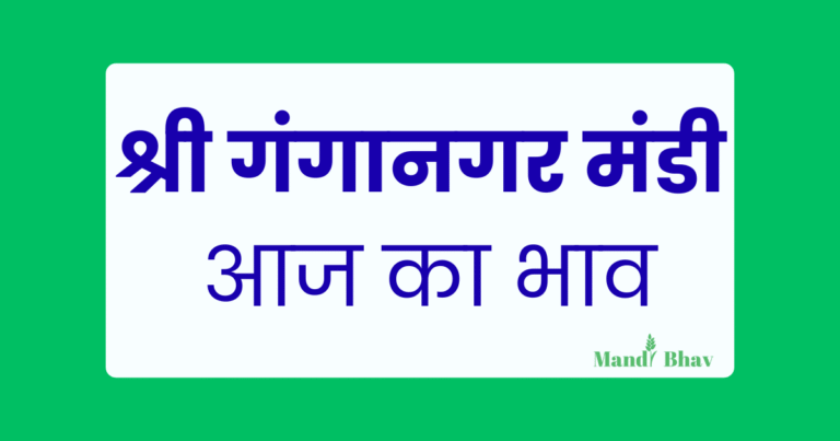 Sri Ganganagar Mandi bhav