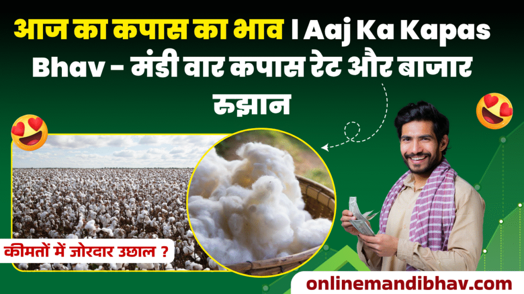 Aaj Ka Kapas Bhav