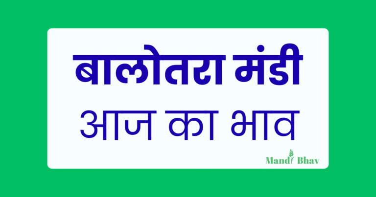 Balotra Mandi Bhav