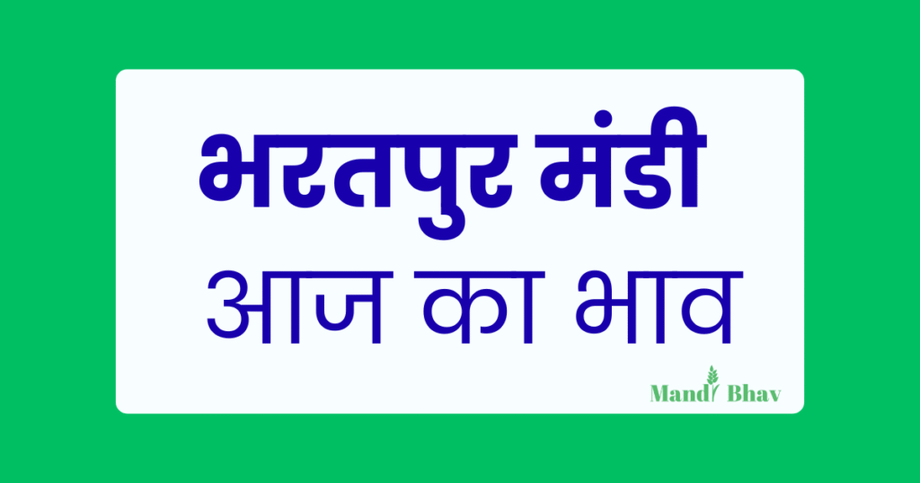 Bharatpur Mandi Bhav