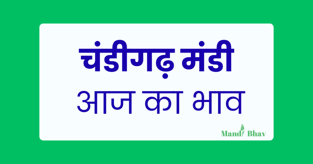 Chandigarh Mandi Bhav