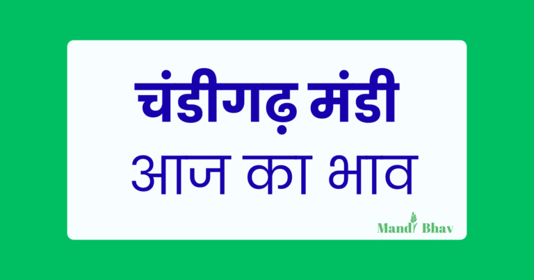 Chandigarh Mandi Bhav