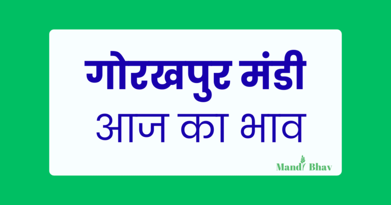 Gorakhpur Mandi Bhav
