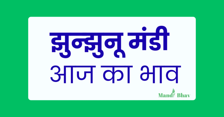 Jhunjhunu Mandi Bhav