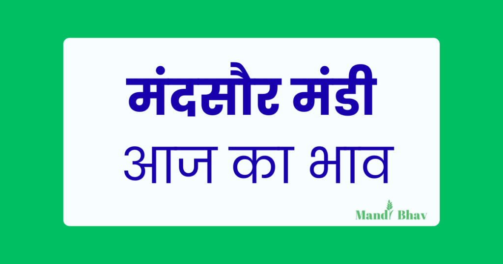 Mandsaur Mandi Bhav