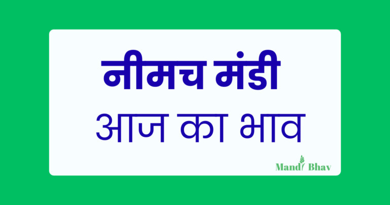 Neemuch Mandi Bhav