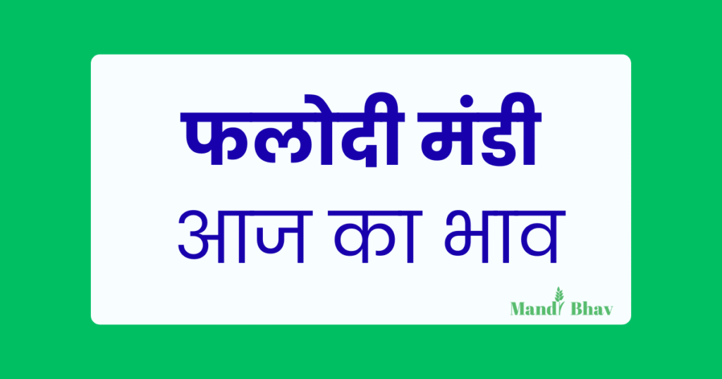 Phalodi Mandi Bhav