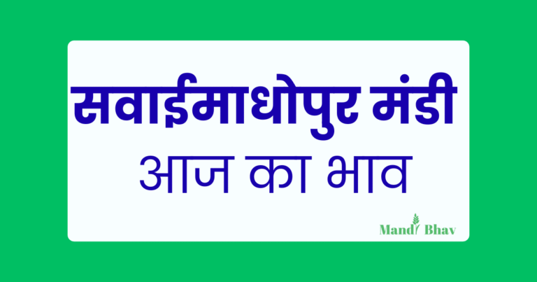 Sawaimadhopur Mandi Bhav