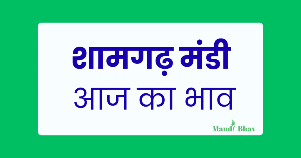 Shamgarh Mandi Bhav