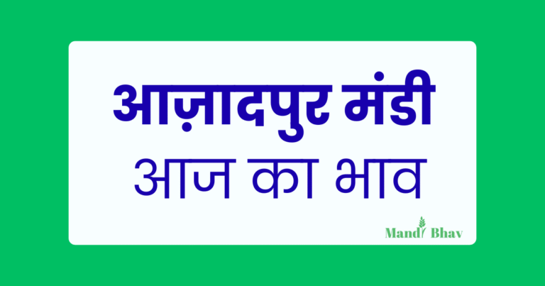 आज़ादपुर मंडी