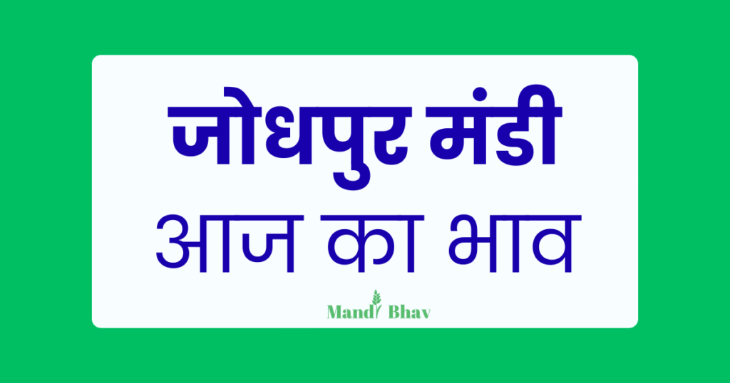 Jodhpur Mandi Bhav