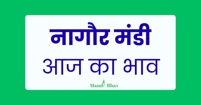 नागौर मंडी आज का भाव