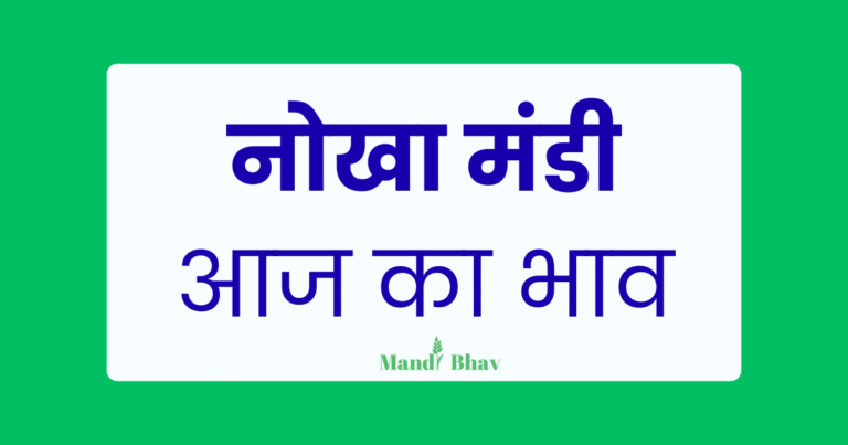 Nokha Mandi Bhav